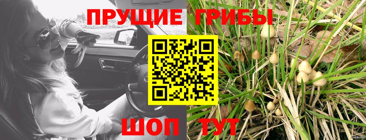 Новодвинск  Псилоцибиновые грибы прущие грибы  Вход с VPN 